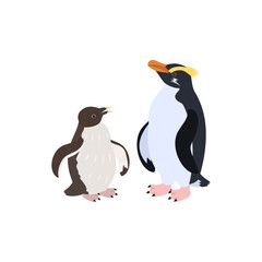 フィヨルドランドペンギン（キマユペンギン、ヴィクトリアペンギン）の雛と成鳥。フラットなベクターイラスト。
Fiordland penguin (Fiordland crested penguin) chick and adult. Flat vector illustration.