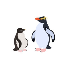 ミナミイワトビペンギンの雛と成鳥。フラットなベクターイラスト。
Southern rockhopper penguin chick and adult. Flat vector illustration.