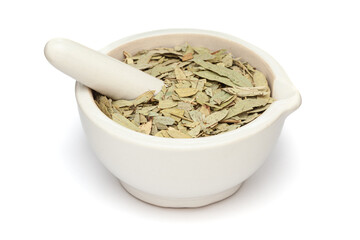Close-up of Dry Organic Sanay or Senna (Senna alexandrina) leaves, in white ceramic mortar and pestle, isolated on a white background.