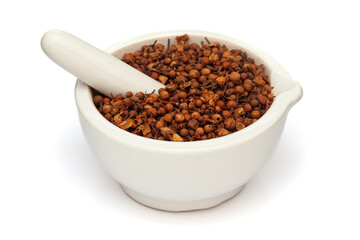 Close-up of Dry Organic Ceylon Ironwood or Nagkesar (Mesua ferrea) seeds, in white ceramic mortar and pestle, isolated on a white background.