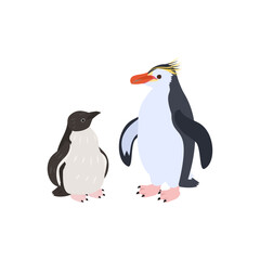 ロイヤルペンギンの雛と成鳥。フラットなベクターイラスト。
Royal penguin chick and adult. Flat vector illustration.