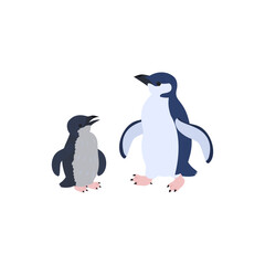 Naklejka premium コガタペンギン（リトルペンギン、フェアリーペンギン）の雛と成鳥。フラットなベクターイラスト。 Little penguin (fairy penguin, blue penguin) chick and adult. Flat vector illustration.