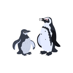 ケープペンギン（アフリカペンギン）の雛と成鳥。フラットなベクターイラスト。
African penguin chick and adult. Flat vector illustration.