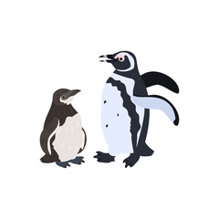 マゼランペンギン（パタゴニアペンギン）の雛と成鳥。フラットなベクターイラスト。
Magellanic penguin chick and adult. Flat vector illustration.
