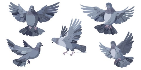 Obraz premium Cute gray pigeon in different poses, flat design style with simple shapes and solid colors, no shadows on white background.