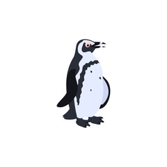 Obraz premium ケープペンギン（アフリカペンギン）。フラットなベクターイラスト。 African penguin. Flat vector illustration.