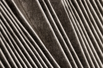long-used blackened filter for dirt filtration