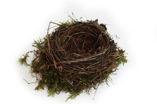 Top view of bird’s nest isolated on white background