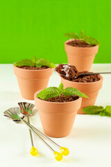Dessert in the form of a pot with soil (crumbled cake) and mint...