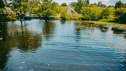 nature purity grass and trees on the the pond in vasteras city in Sweden