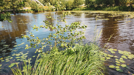 Fototapete bei efototapeten.de bestellen   