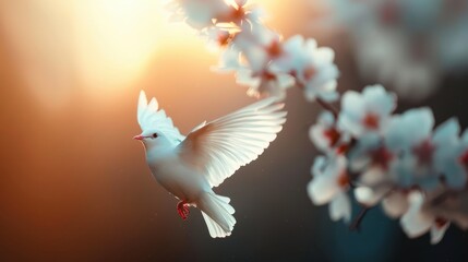 Graceful White Dove in Flight Among Blossoming Flowers at Sunset