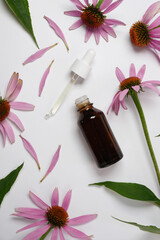 Echinacea purpurea extract or oil  with fresh flowers nearby on a white. Natural medicine, herbal remedy for cold and flu, antiviral treatment, immune booster concept. Top view, flat lay.