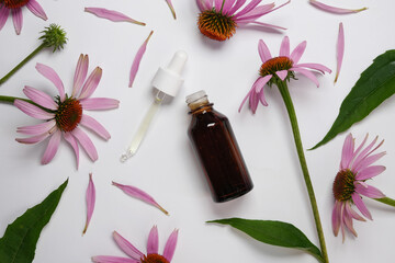 Dropping essential oil into a brown brown bottle, with fresh echinacea flowers on a white. Top view, flat lay. 