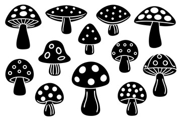 There are various types of mushrooms present in this collection