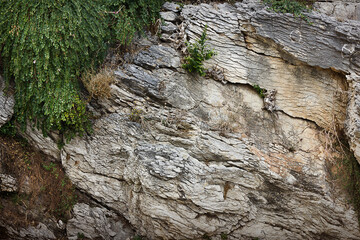 Close-up background of the rock surface with growing grass