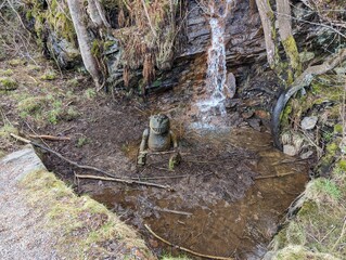 Photo of Norwegian nature, forest, sea
