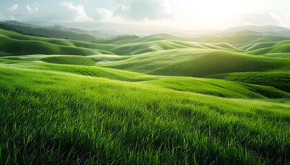 Obraz premium Green grass field on rolling hills