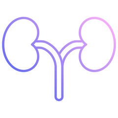 Kidney