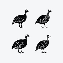 Guinea Fowl Bird silhouette vector art illustration