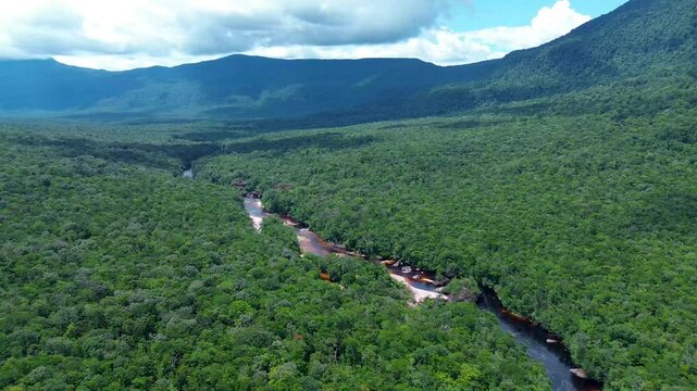 great view of the churun river and its imposing jungle inside auy&aacute;n-tepui