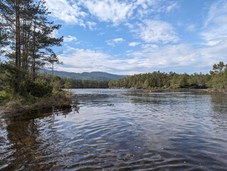 Photo of Norwegian nature, forest, sea