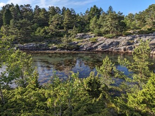 Photo of Norwegian nature, forest, sea