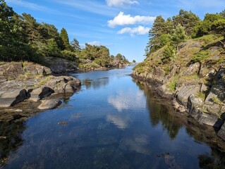 Photo of Norwegian nature, forest, sea
