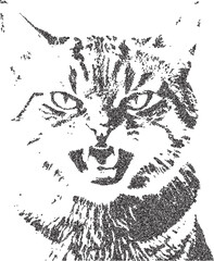 Obraz premium Angry cat with retro photocopy effect Y2K. Grunge grain , Pop art design. Vector illustration for T-shirt prints,sweatshirt, collage design, banner, posters.