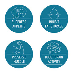 Circular stamps set for food supplements - appetite, fat storage, muscles, brain boost