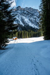 The wild Riofreddo Valley nestled in the Julian Alps.