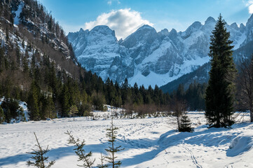 The wild Riofreddo Valley nestled in the Julian Alps.