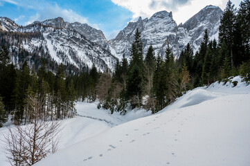 Fototapeta premium The wild Riofreddo Valley nestled in the Julian Alps.