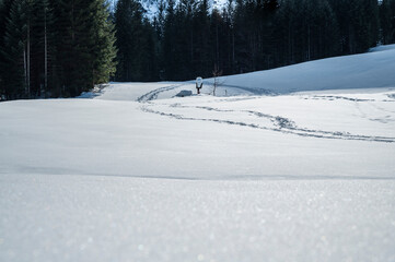 The wild Riofreddo Valley nestled in the Julian Alps.
