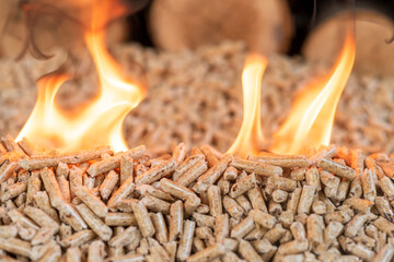 A pile of wood pellets on fire. Behind in defocus there is a wall of wood.