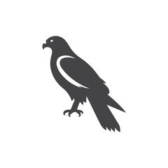 Fototapeta premium simple eye catching minimalist hawk bird silhouette, black and white, vector hawh bird, white background