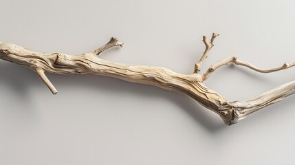 Obraz premium Natural wooden branch on light grey background mockup Rough textured piece of wood or twig for product advertising Eco spa and beauty display Minimal wabi sabi concept Copy space front : Generative AI