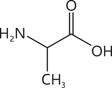 Alanine amino acid chemical molecules, essential chain structure CH3CHNH2COOH. Vector scientific model or educational formula, contains a methyl group, amine group, carboxyl group and central carbon