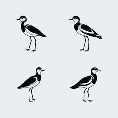 Fototapeta premium The Bird name is Lapwing silhouette vector art illustration