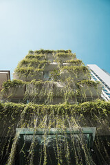 Low angle view of residential building facade covered with greenery.