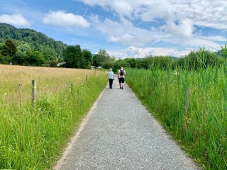 Fussweg / Wanderweg mit zwei Wanderer, Frau und Mann , Liebespaar, auf Wanderung durch die Wiese, Natur.