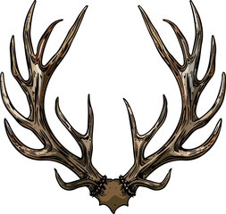 antler vector illustration isolated on transparent  background. 
