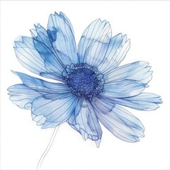 Obraz premium one fine line blue flower 