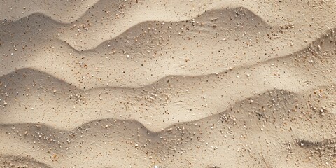 Obraz premium Shimmering sandy background with golden sand minimalistic wavy pattern with white shell particles