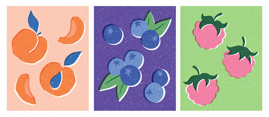 Peaches or Apricots, Blueberries and Respberries Vector illustration posters