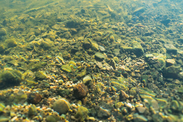 Rocky bottom of the Pirita river, underwater photo.