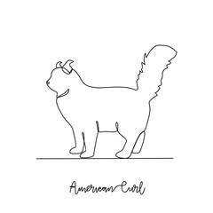 One continuous line drawing of American curl vector illustration. Type of Cat themes design concept with simple linear style vector. Cats are domesticated mammals, loyalty and companionship to humans.