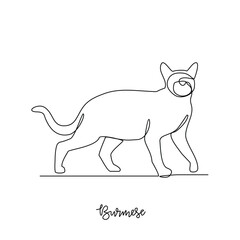 One continuous line drawing of Burmese vector illustration. Type of Cat themes design concept with simple linear style vector. Cats are domesticated mammals, loyalty and companionship to humans.