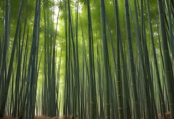Fototapeta premium Deep bamboo forest, lights from above