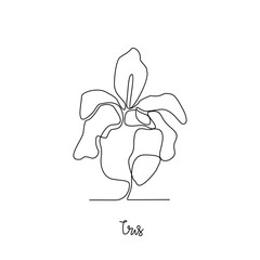 One continuous line drawing of Iris vector illustration. Type of Flower themes design concept with simple linear style vector. Beautiful useful flower design for wedding or romantic party.